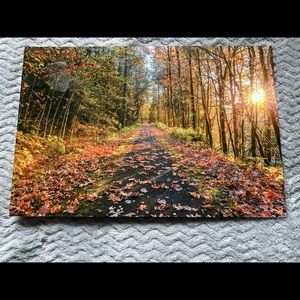 🎄NEW🎄 stunning screenprinted picture